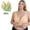 Beige, variant on SYMOID Womens Plus Size 5XL 2 Pack Front Closure Bra - Comfortable, Full Coverage, Wide Straps, Lace Detailing, Beige