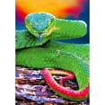 thumbnail image 1 of Taladro de pintura de diamante (DE6046) Serpiente 5D DIY Decoración de diamantes de imitación redonda completa (FH225) 30x40cm FLhrweasw Nuevo, 1 of 1