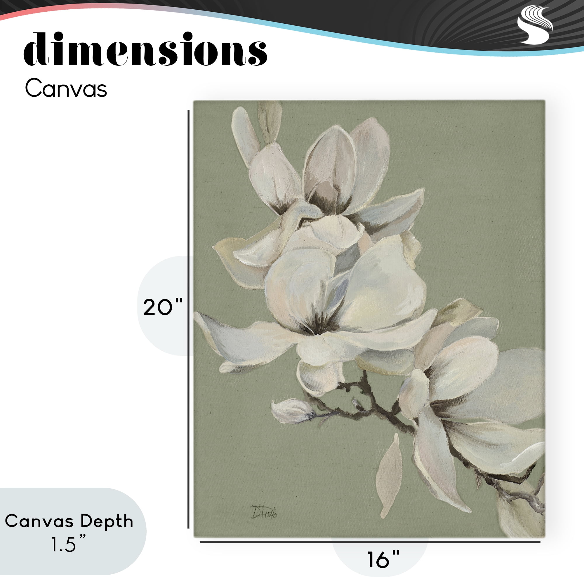 Stupell Industries Magnolias on Sage Florals Canvas Wall Art, design by Patricia Pinto