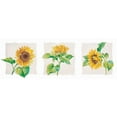 thumbnail image 3 of Kumorek, Krysztov 24x11 Black Modern Framed Museum Art Print Titled - Sunflower triptych, 3 of 5