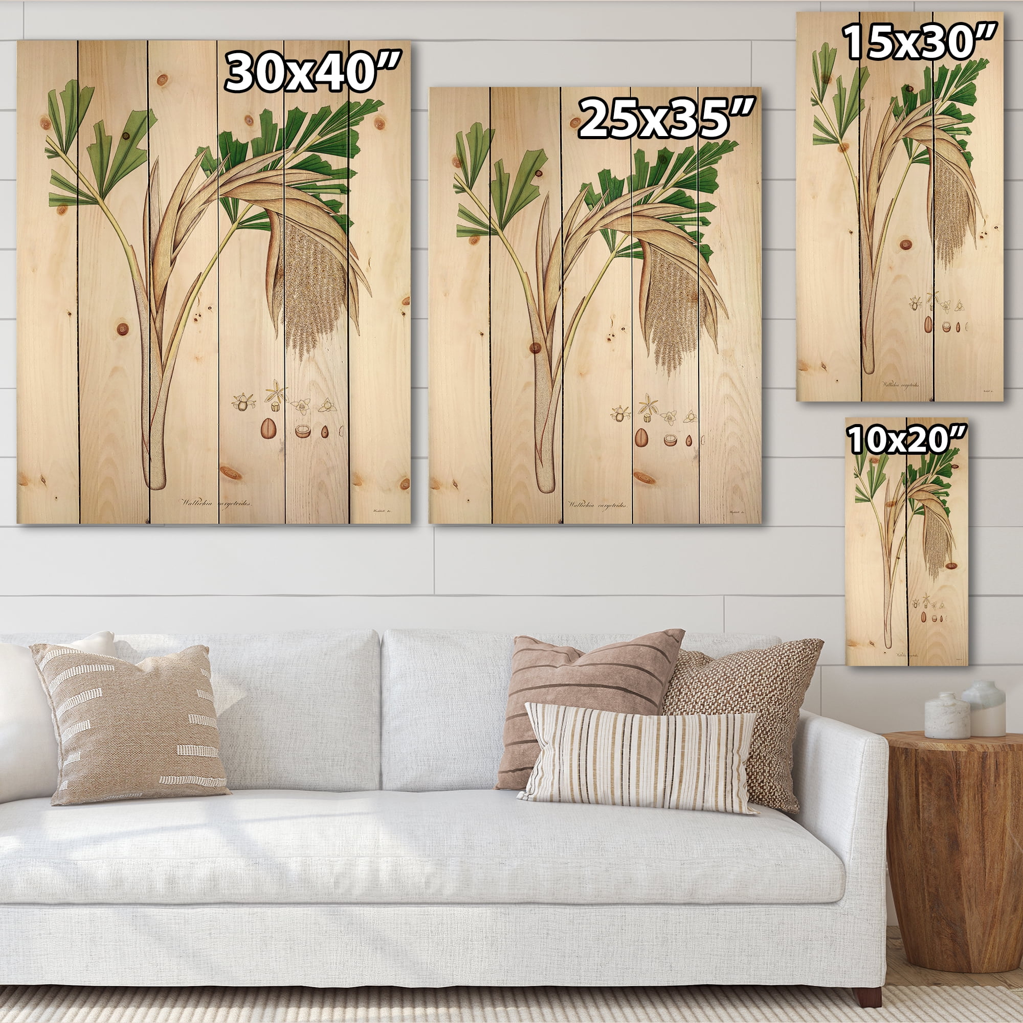 Designart 'Ancient Plant Life XV' Farmhouse Print on Natural Pine Wood