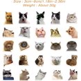 thumbnail image 2 of 50 pegatinas divertidas de gato Meme ZHAOCHENG para niños adolescentes portátiles vinilo impermeables, 2 of 5