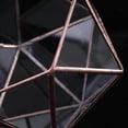 thumbnail image 3 of GUOOL Glass Geometric Terrarium Box Plant Planter 12 x 12 x 12cm 12 x 12 x, 3 of 9