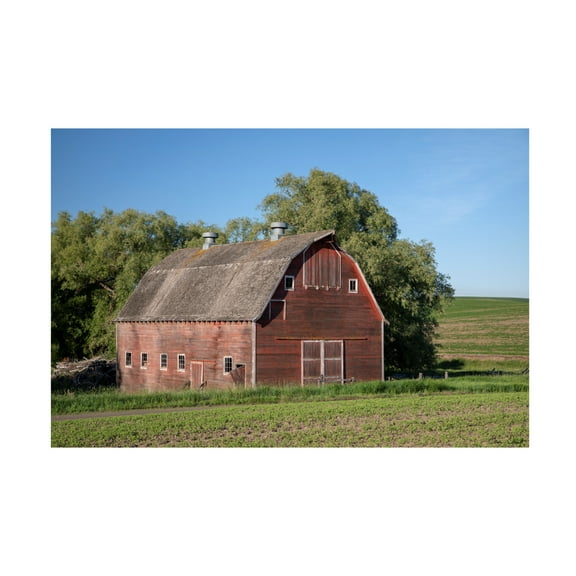 Trademark Fine Art David Drost Rustic Palouse Barn I Canvas Wall Art