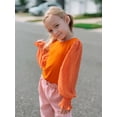 thumbnail image 4 of Arshiner Girls Cute Shirt Crewneck Mesh Long Sleeve Swiss Dots Pullover T-Shirts Girls Top, 4 of 6