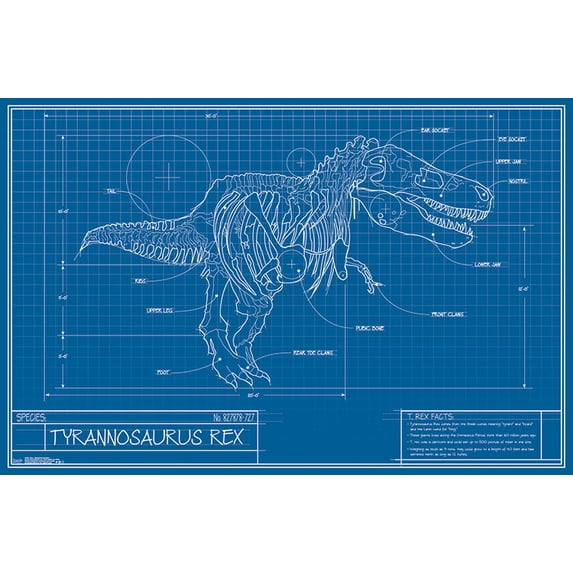 T-Rex - Blueprint Illustration Poster and Poster Mount Bundle