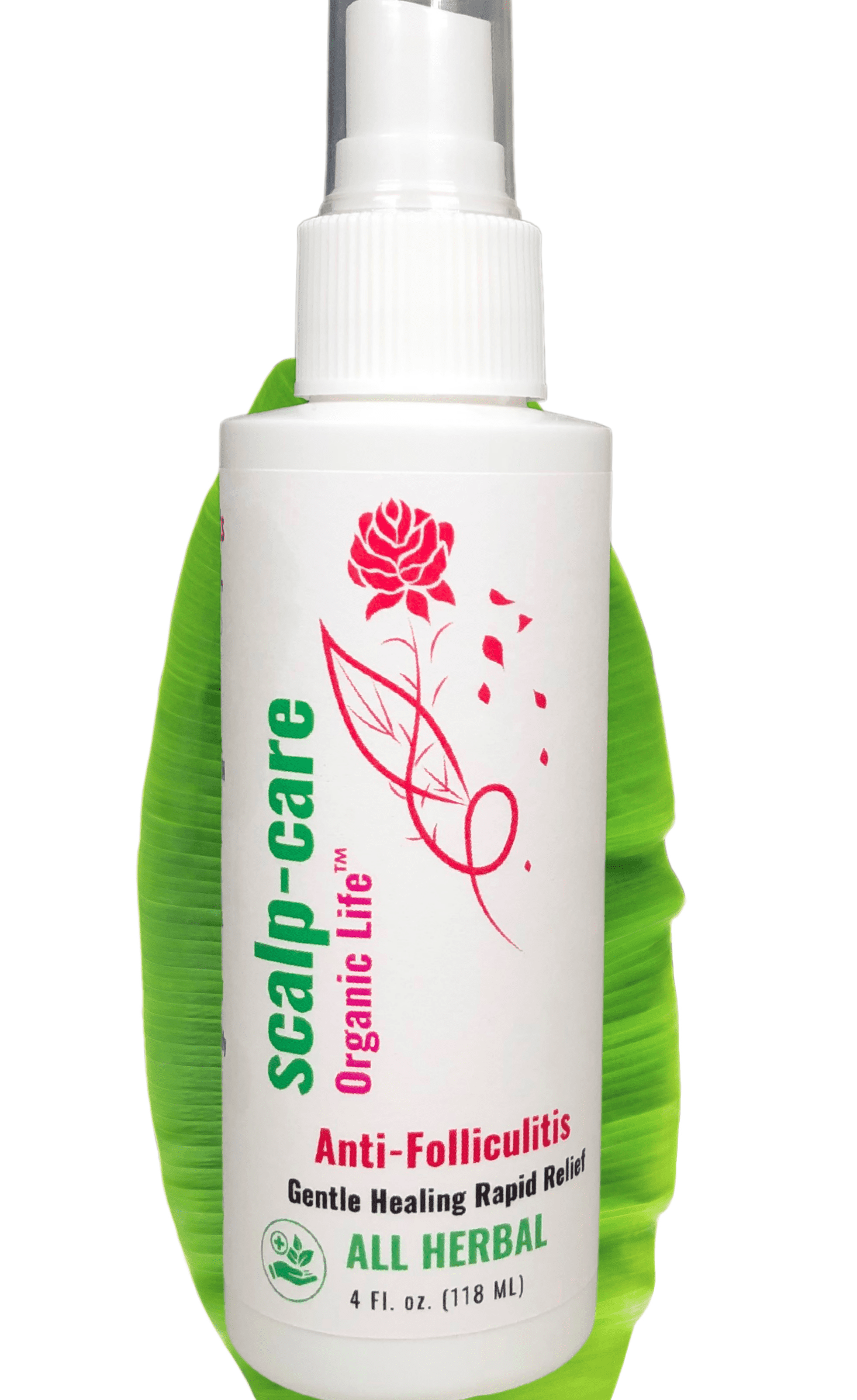 Herbal Dermatitis Shampoo Scalp Folliculitis treatment with Leave-In Tea Tree Oil Anti-Dandruff Hair Conditioner for Men and Women. - Walmart.com
