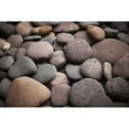 thumbnail image 3 of Millet, Karyn 18x13 Black Modern Framed Museum Art Print Titled - Pebble Patch I, 3 of 5