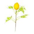 thumbnail image 3 of PELÍCULA PELÍCULA EL HUG TWIG RAMA ORNAMENTES Central de mesa artificial Pick Flower Decoración de Pascua para el jarrón de festivales en el hogar Amarillo, 3 of 8