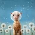thumbnail image 2 of Great Art Now Summer Wishes by Lucia Heffernan, Canvas Wall Art, 12W x 12H, 2 of 2
