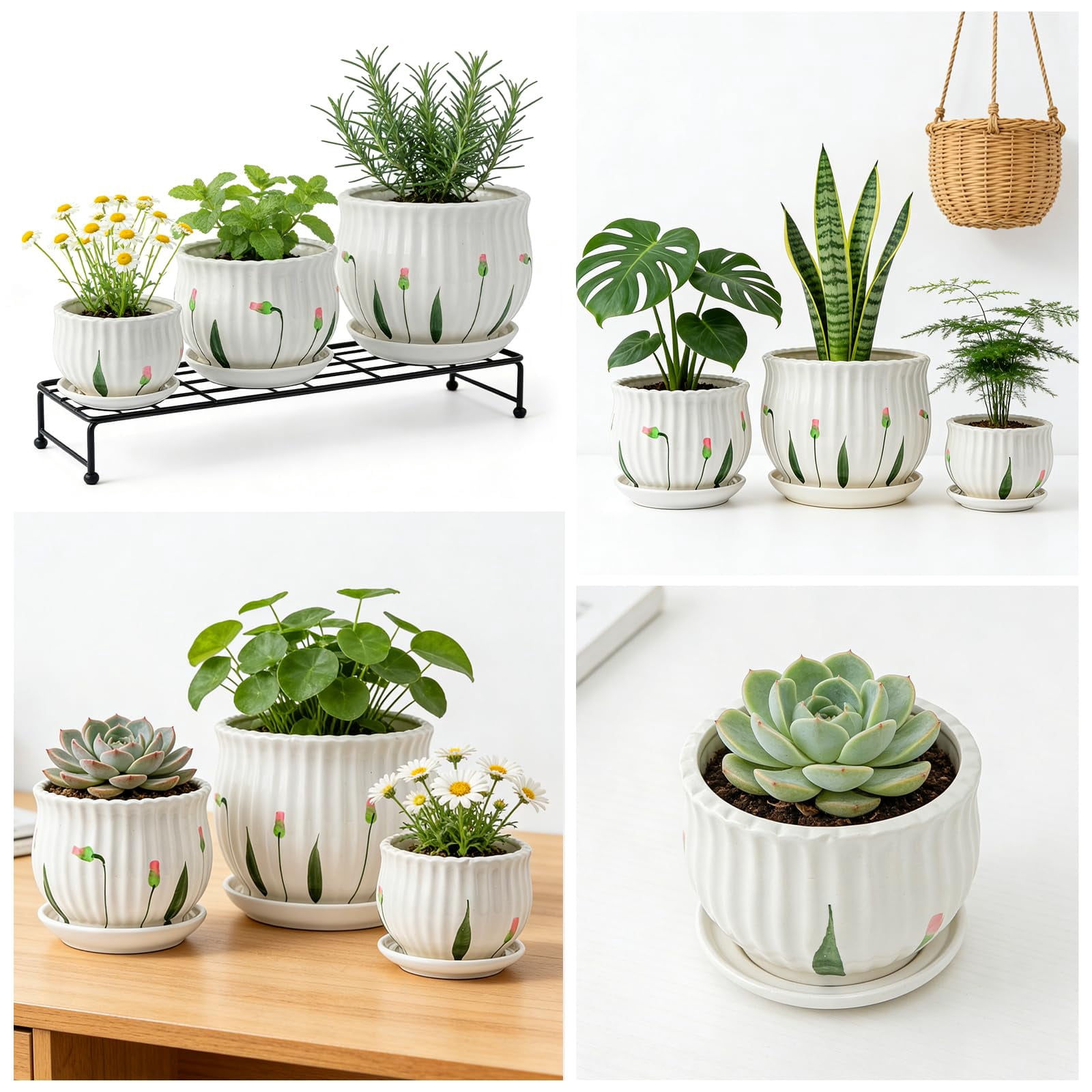 2 Pack Mini Ceramic Succulent Pots 2.5 Inch with Drainage Hole, Small Flower or Cactus Planters for Indoor Gardening