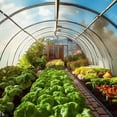 Greenhouse Plastic Clear 6 Mil 4 Year Polyethylene Covering Film 8 greenhouse-plastic-clear-6-mil-4-year-polyethylene-covering-film-8