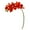 Orange, variant on Nearly Natural 21in. Phalaenopsis Orchid Artificial Flower (Set of 6), White