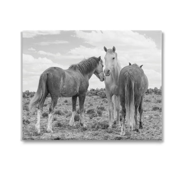 Stupell Industries Horse Trio in Desert Animals & Insects Photography Gallery Wrapped Canvas Art Print Wall Art, 20 x 16