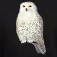thumbnail image 3 of CafePress - Snowy Owl Hoodie (Dark) - Pullover Hoodie, Classic, Comfortable Hooded Sweatshirt, 3 of 4