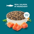 thumbnail image 6 of (4 pack) Rachael Ray Nutrish Dry Cat Food Real Salmon & Brown Rice Recipe, 2.5 lb., 6 of 12