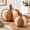 Brown,white, variant on Wicker Rattan Pumpkneutral Fall Decor For Table Centerpiece