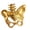 Gold, variant on Butterfly Spine Bone Rings Geometric Dating Rings Finger Jewelry Alloy Texture Suitable for Everyday Use and