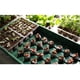 thumbnail image 4 of Caja De Cultivo De Semillas De Plantas, Iniciador De Plántulas De Vivero Portátil Con 12 Agujeros Para Exteriores, 4 of 8