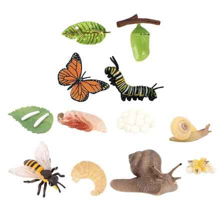 Toddlers Growth Process Toy Set Learning Nature Role Play