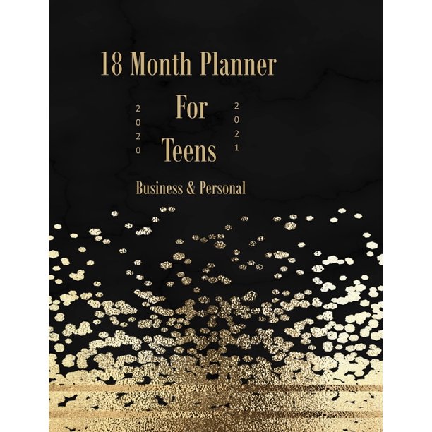 5 year strategic business plan template picture