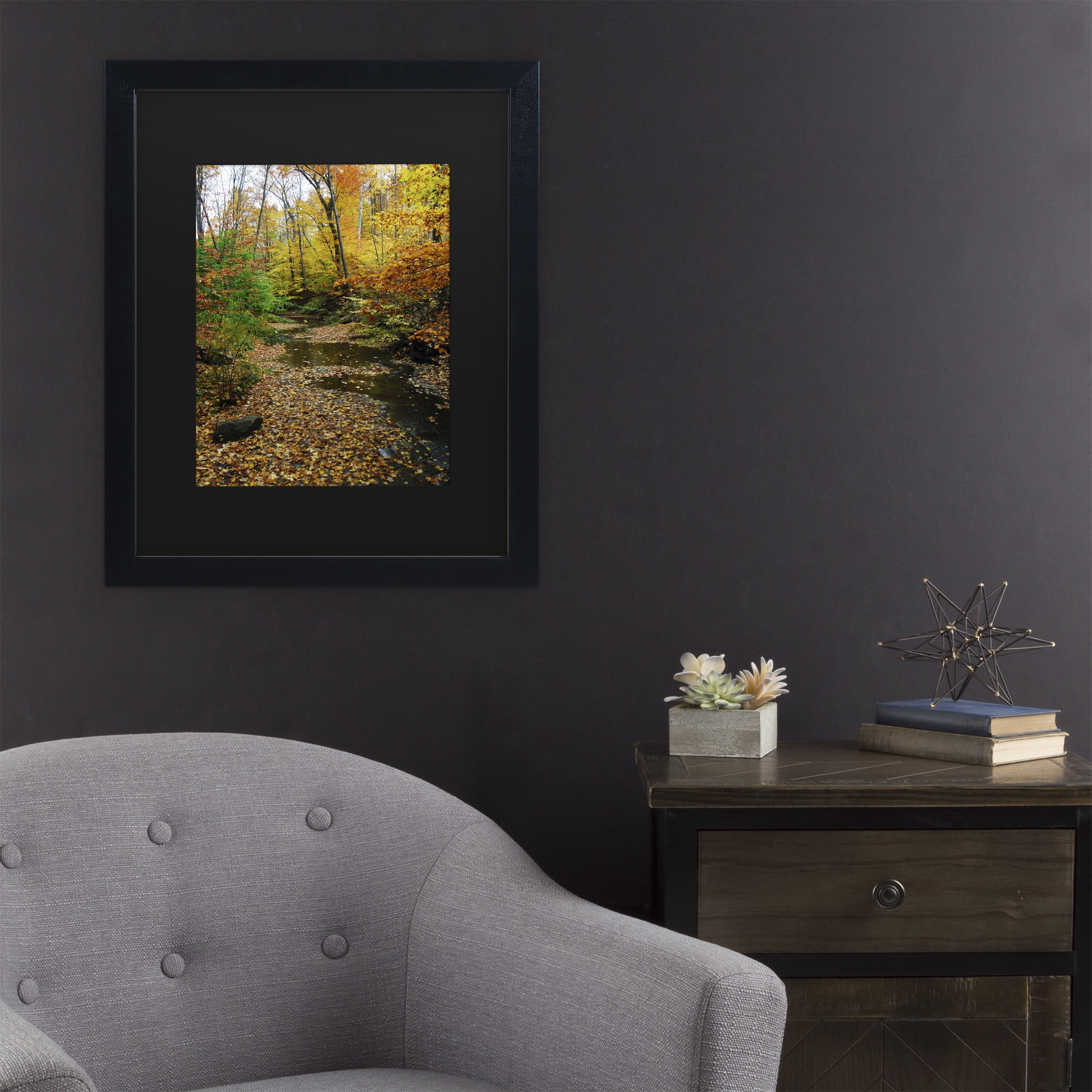 Trademark Fine Art 'Autumn Stream' Canvas Art by Kurt Shaffer