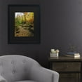 thumbnail image 3 of Trademark Fine Art 'Autumn Stream' Canvas Art by Kurt Shaffer, 3 of 4