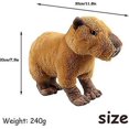 thumbnail image 2 of Peluche de capibara realista de 30 cm, regalo de dibujos animados para cumpleaños de niños, 2 of 5