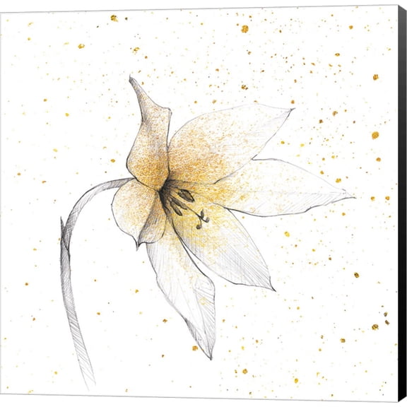 Gilded Graphite Floral VIII by Avery Tillmon, Canvas Wall Art