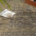 thumbnail image 2 of BERTHMEER Vintage 6'x9' Area Rugs for Living Room Kitchen Bedroom Rugs Non Slip Washable Brown Carpets Office Farmhouse Dorm Dining Room Black Oriental Traditional Distressed Rugs, 2 of 7