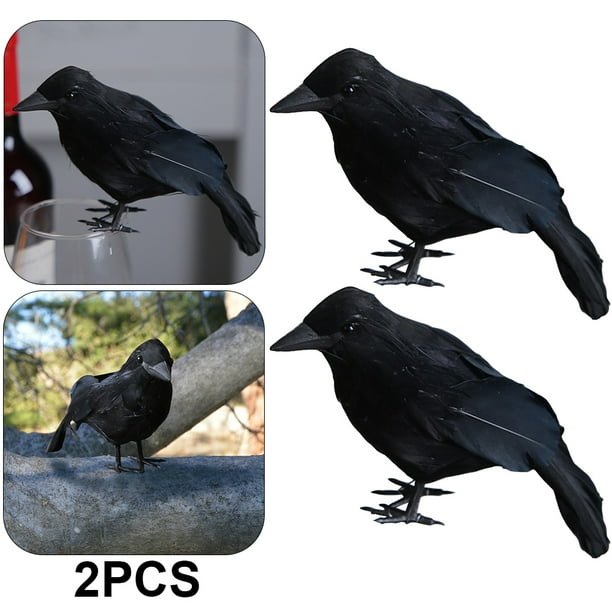 Likrtyny 2 Uds Terror Animal Pájaro Plástico Y Plumas Halloween para El Fiesta Halloween