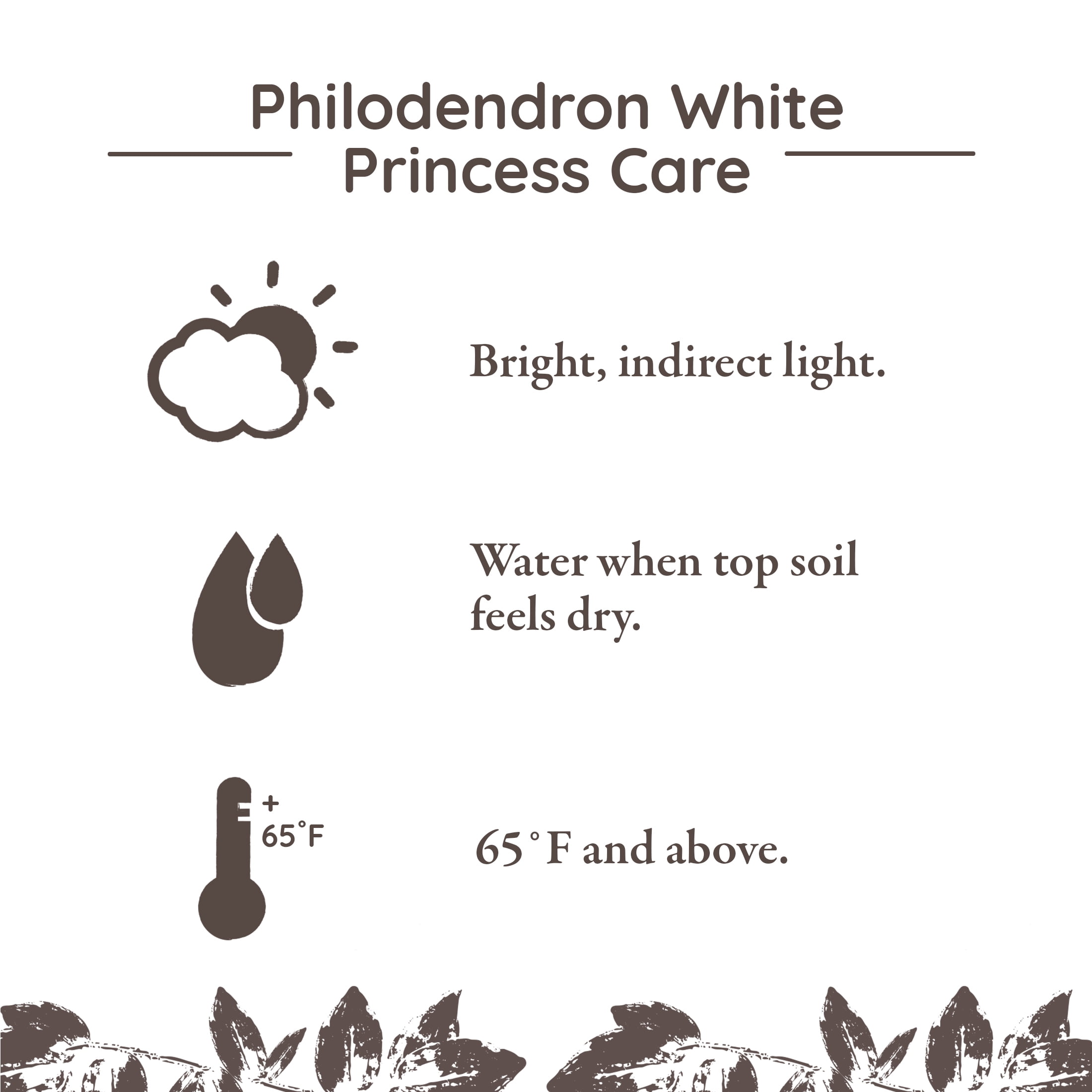 Wild Interiors Philodendron White Princess in Chic Beige Pot – 5in Collector’s Plant
