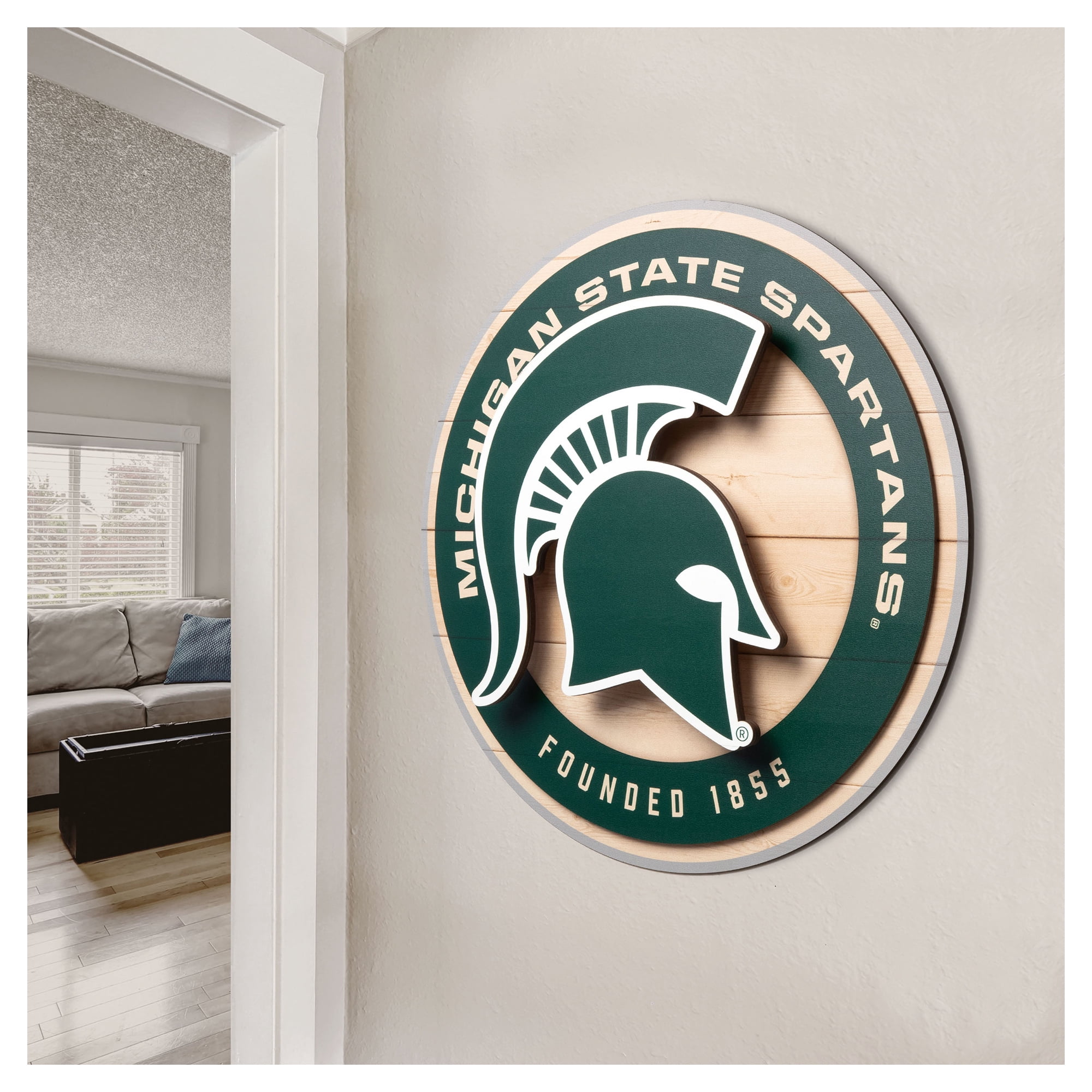IDNA Michigan State Spartans 15" x 15" 3DX Logo Circle Backer Wall Art