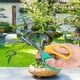 thumbnail image 4 of Tijeras Para Podar Uvas, Tijeras Para Bonsái, Tijeras Para Ramas Para Jardines, Tijeras Para Jardín De Bonsái, Árboles Frutales, Suministros De Jardinería, 4 of 8