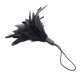 thumbnail image 3 of Soft Flirting Feather Tickler para Night Party Funny Broma Toy Gift Favors Sunnimix Juguetes de cosquillas para ligar, 3 of 7