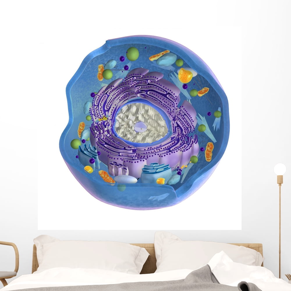 Animal Cell Wall Mural by Wallmonkeys Peel and Stick Graphic (48 in H x