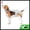 Gray S, variant on Unique Bargains Dog Diapers for Female Dogs Washable Reusable Pants Gray S