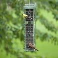 thumbnail image 6 of Original Evenseed Squirrel Dilemma Bird Feeder, 6 of 8