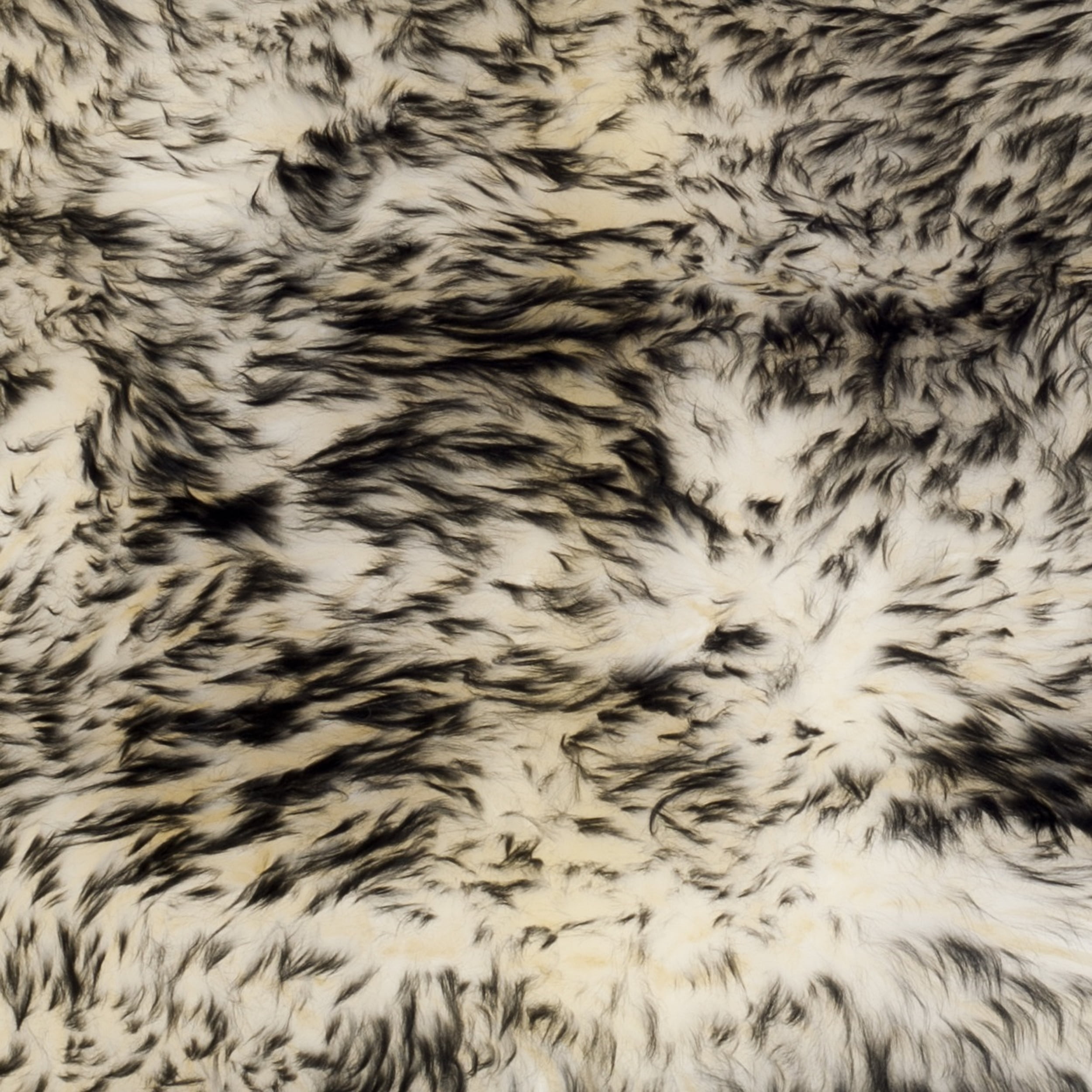 SAFAVIEH Sheep Skin SHS121G Ivory / Dark Charcoal Rug