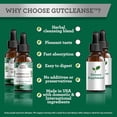thumbnail image 6 of GuruNanda Gutcleanse 2-Step Kit - Dietary Supplement to Help with Digestion - Blend of Fulvic Acid, Wormwood, Clove & Neem Extract, 2x1 fl oz, 6 of 8