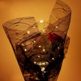 thumbnail image 3 of Luminous LED Decorative Balloon Transparent Rose Balloons rose balloon wedding LED Wedding Birthday Party Decorations, 3 of 7