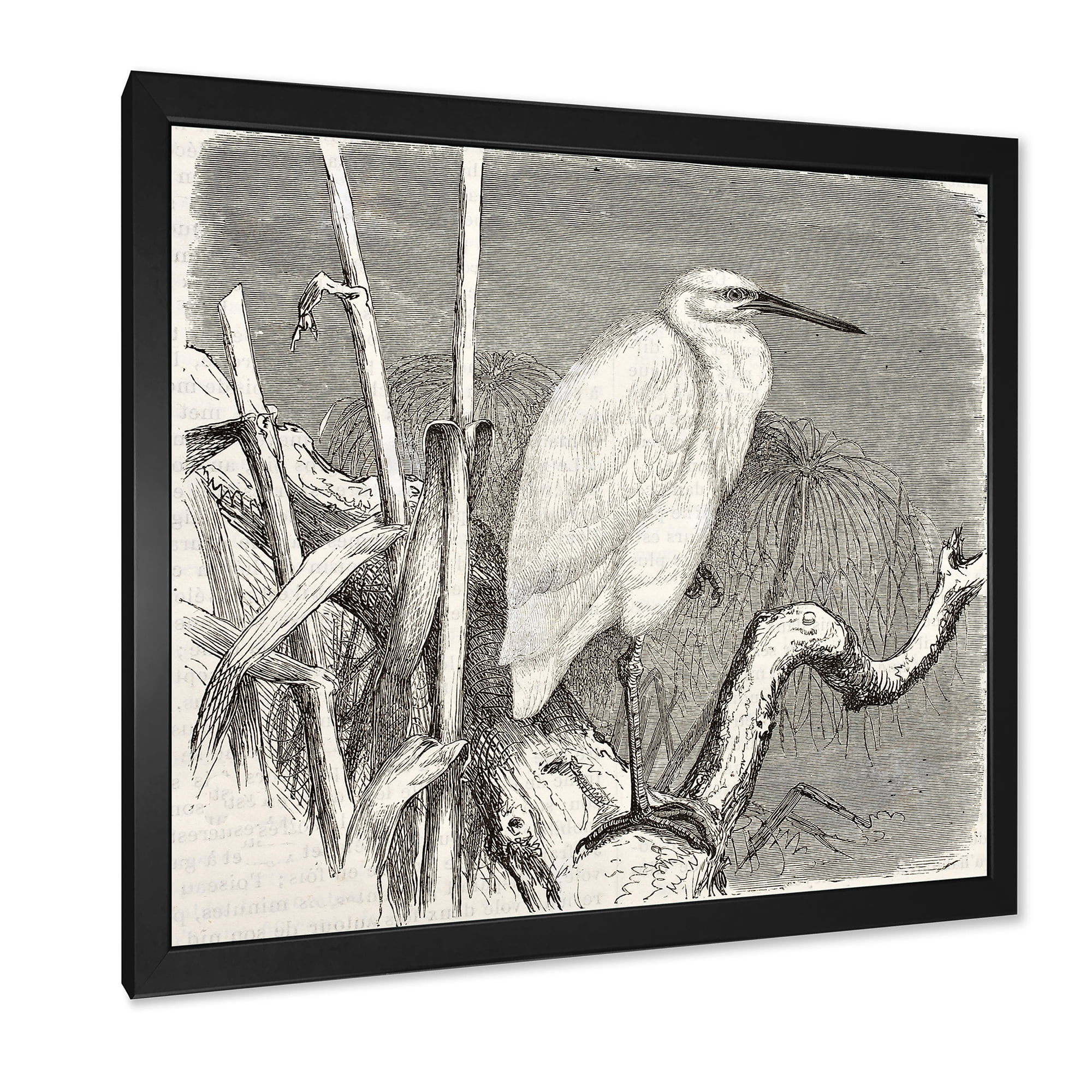 Designart Little Egret Bird in Monochrome Framed Art Print