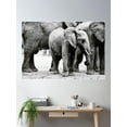 thumbnail image 2 of Baby Elephant Poster Wall Art, Modern Wall Decor For Living Room Bedroom, 8x12 UNFRAMED, 2 of 3