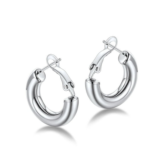 FaithHeart Chunky Huggie Hoop Earrings for Women Silver Stainless Steel 5mm Thick Hollow Tube Hoops Hypoallergenic Lightweight Earring Jewelry Gifts for Daughter Birthday 20mm