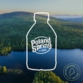 thumbnail image 6 of Poland Spring Maine Spring Water, 8 Fl Oz, 12-Pack Plastic Bottles, 6 of 12
