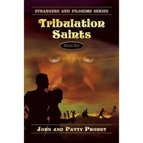 Strangers and Pilgrims: Tribulation Saints: Strangers and Pilgrims Series Book Six (Paperback)