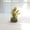 Orange, variant on Artificial Tulip Bonsai Potted Plant Lifelike Silk Flowers & Greenery with Bark Texture Stump Pot White, Orange, Pink 6" Mini Desktop Decor Long-Lasting, Low-Maintenance Accent for Living Room,