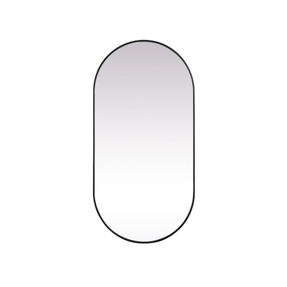 Metal Frame Oval Mirror 36x72 Inch in Black