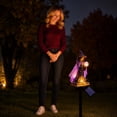 thumbnail image 5 of Halloween Solar Garden Lights, Witch Crystal Ball Stake Light, Auto On/Off Waterproof Outdoor Decor for Yard Pathway Lawn Patio, Resin, 5 of 8