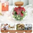 thumbnail image 2 of 2Pcs Spherical Terrarium Glass Containers Sealed Storage For Hobbyists, 2 of 8